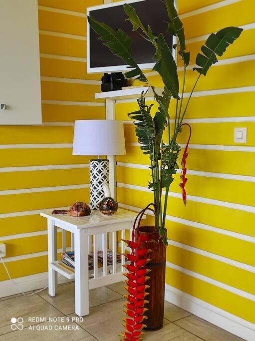 Bungalow Alnamaka : Vue Mer - Piscine - Plage A 5Mn Пуэнт-Нуар Экстерьер фото